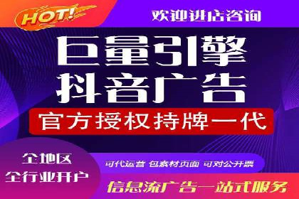 抖音信息流代理在电商行业的应用案例分析